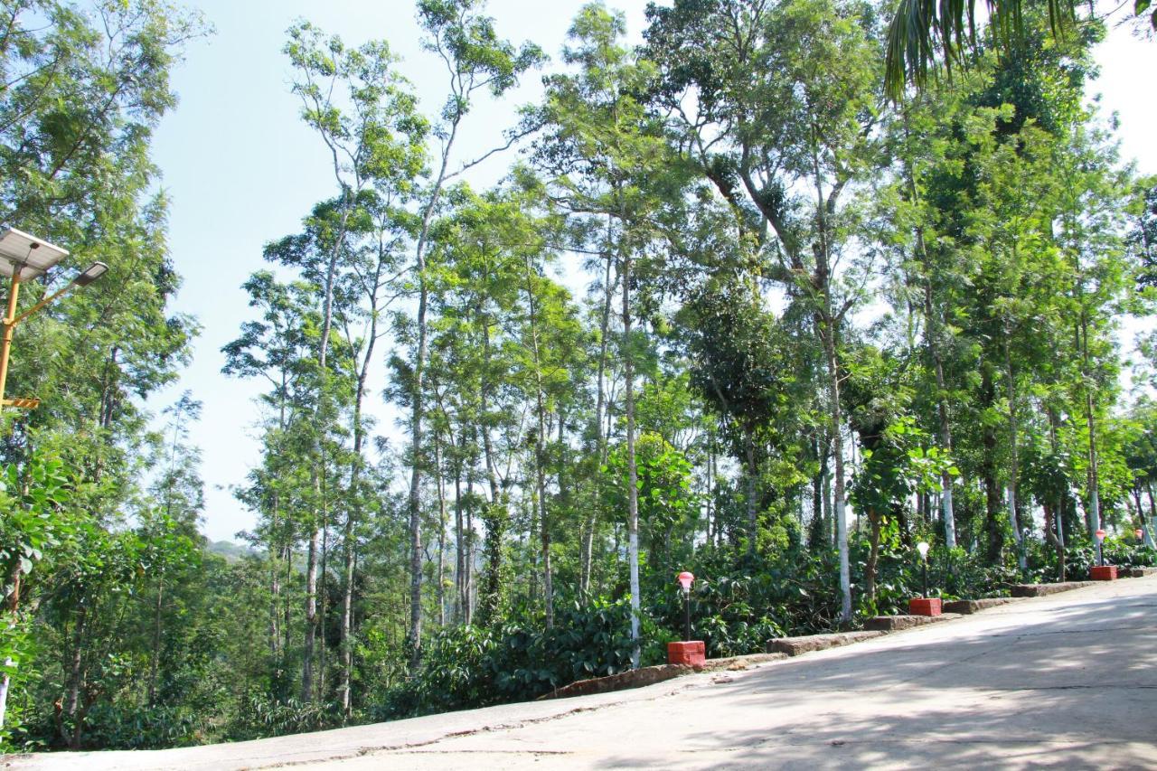 Kingmaker'S Plantation With River Stream Madikeri Exteriör bild