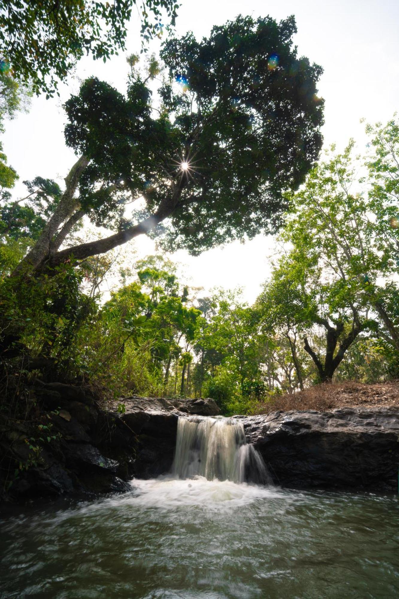 Kingmaker'S Plantation With River Stream Madikeri Exteriör bild