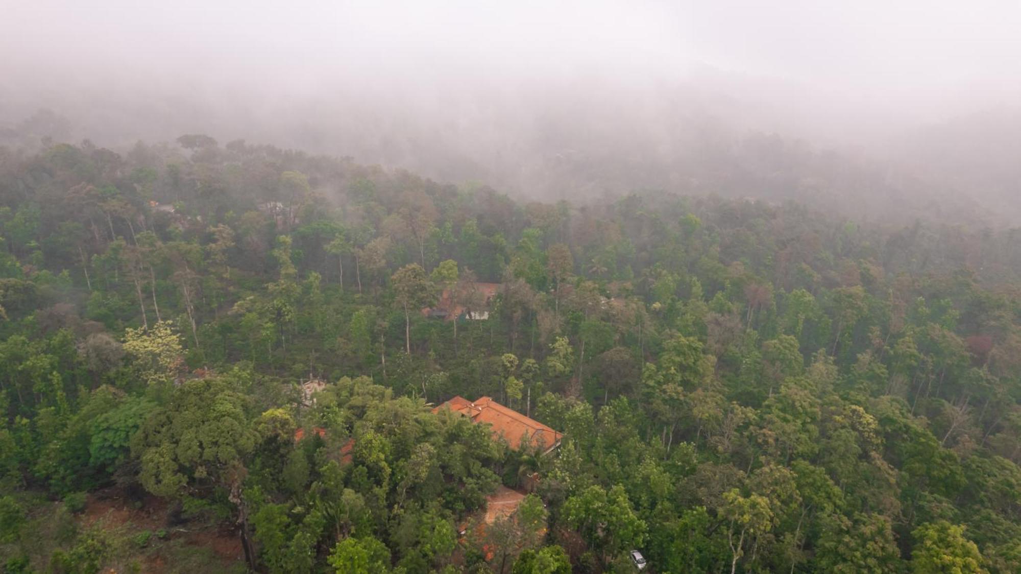 Kingmaker'S Plantation With River Stream Madikeri Exteriör bild